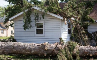 Common Causes of Emergency Roof Repairs and How to Prevent Them